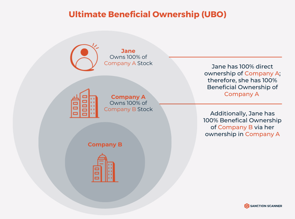 Ownership Structure Là Gì? Tìm Hiểu Chi Tiết Về Cấu Trúc Sở Hữu Doanh Nghiệp